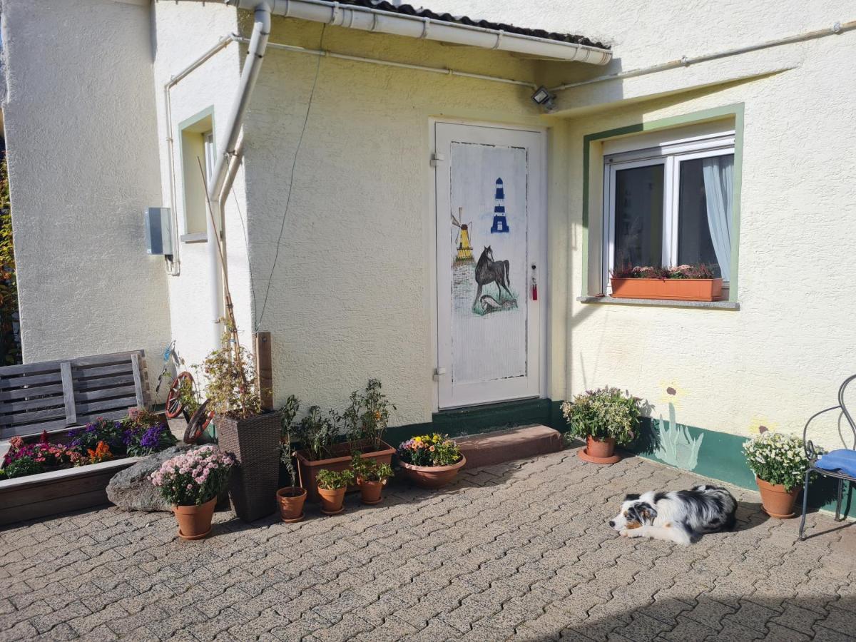 Ferienwohnung Im Wispertaunus Dickschied Esterno foto